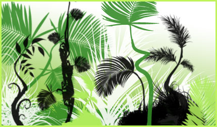 Tropical brushes